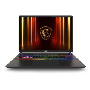 MSI Vector/16 HX AI A2XWHG-095CZ/U7-255HX/16"/2560x1600/32GB/1TB SSD/RTX 5070Ti/W11H/Gray/2R