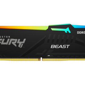 Kingston FURY Beast EXPO/DDR5/32GB/6000MHz/CL30/1x32GB/RGB/Black