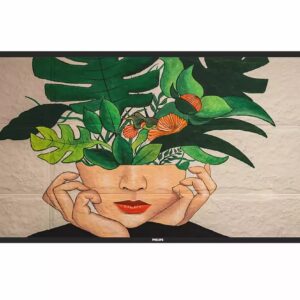 65" D-LED Philips 65BDL4550D-UHD, IPS, 500cd, AN, 24/7