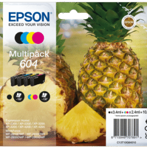 EPSON Multipack 4-colours 604 Ink