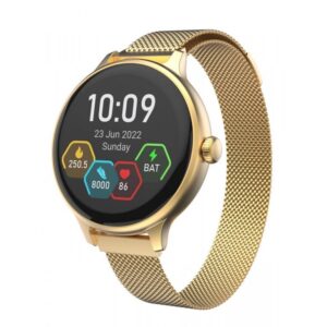 CARNEO Hero mini HR+/Gold/Elegant Band/Gold