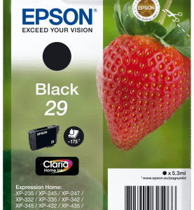 Epson Singlepack Black 29 Claria Home Ink