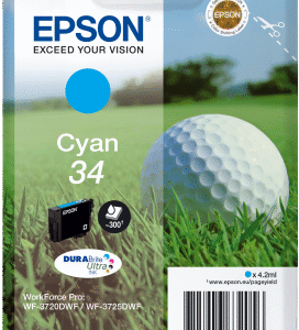 Epson Singlepack Cyan 34 DURABrite Ultra Ink