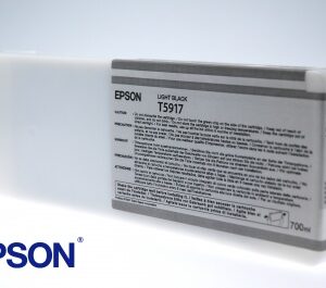 Epson T591 Light Black