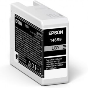 Epson Singlepack Light Gray T46S9 Ultrachrome