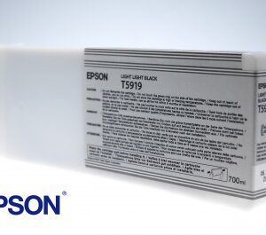 Epson T591 Light Light Black
