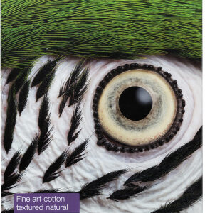 EPSON Fine Art Cotton Smooth Bright II, A3+25 sheet