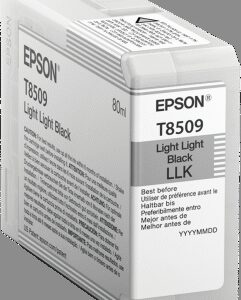 Epson Singlepack Photo Light Light Black T850900 UltraChrome HD ink 80ml