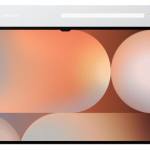 Samsung Galaxy Tab S10 Ultra/SM-X920/14,6"/2960x1848/12GB/256GB/An14/Platinum Silver