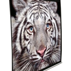 ELITE plátno roleta 150" 16:9, 186,7x332cm