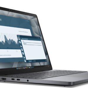 Dell Pro 14/PC14255/R5-220/14"/WUXGA/8GB/512GB/AMD int/W11P/Gray/3R NBD