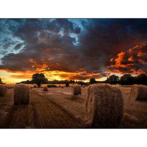 55" LED Samsung VM55B-U - FHD, 500cd, VW, 4.5,24/7