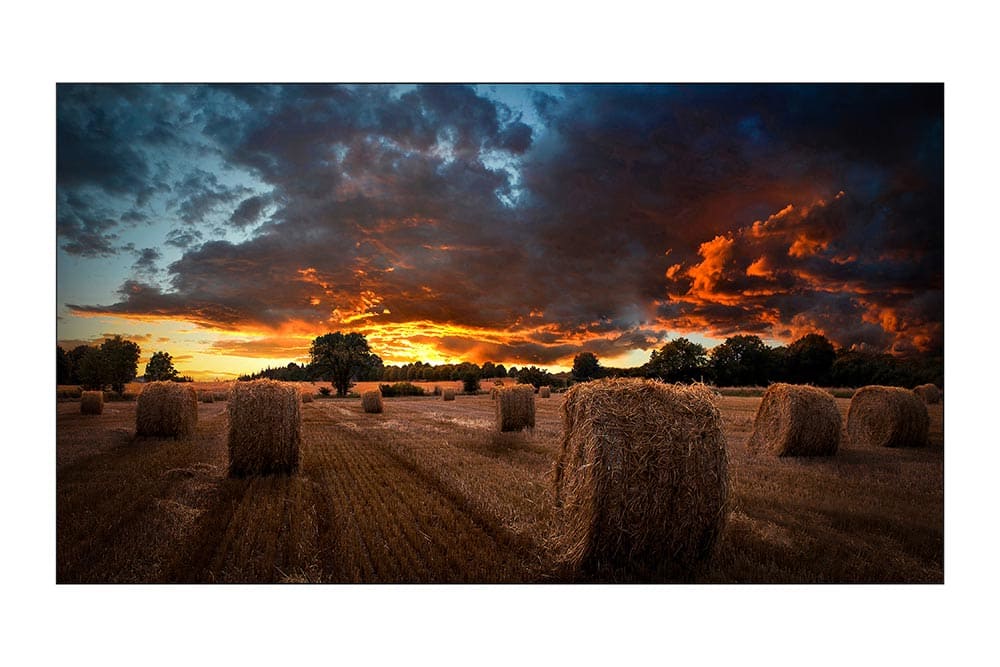 55" LED Samsung VM55B-U - FHD, 500cd, VW, 4.5,24/7