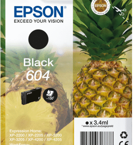 EPSON Singlepack Black 604 Ink