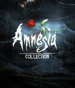 ESD Amnesia Collection