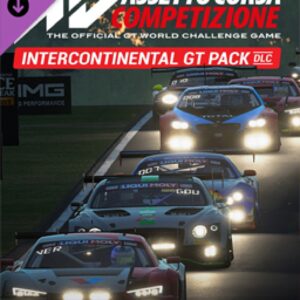 ESD Assetto Corsa Competizione Intercontinental GT