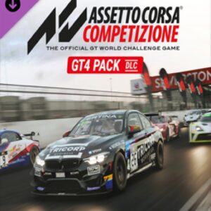 ESD Assetto Corsa Competizione GT4 Pack