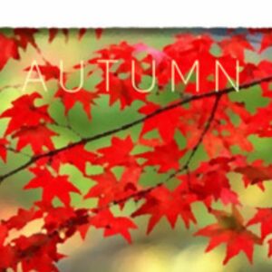 ESD Autumn