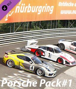 ESD Assetto Corsa Porsche Pack 1