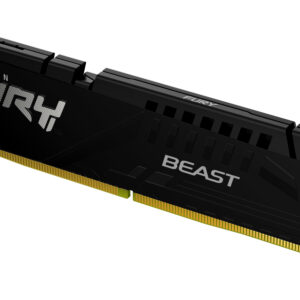 Kingston FURY Beast EXPO/DDR5/32GB/5600MHz/CL36/1x32GB/Black