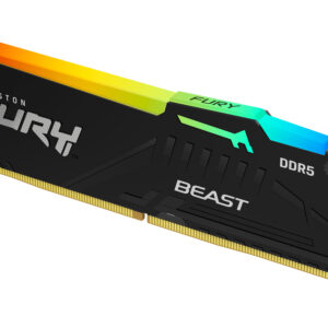 Kingston FURY Beast EXPO/DDR5/64GB/5600MHz/CL40/1x64GB/RGB/Black