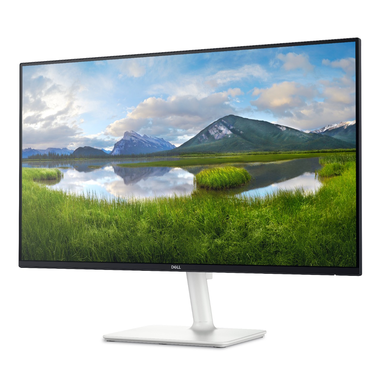 Dell/S2425H/23,8"/IPS/FHD/100Hz/4ms/Blck-White/3RNBD