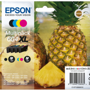 EPSON Multipack 4-colours 604XL Ink